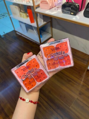 CUARTETO DE RUBORES CHEEK BLUSH SFR. COLOR