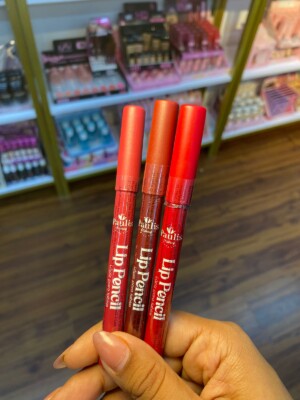 DELINEADOR DE LABIOS PAULIS